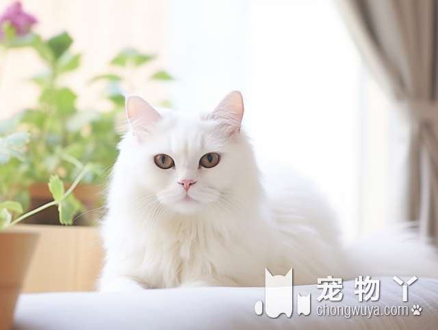 宠颐生振兴宠物医院：小猫打针方便吗?